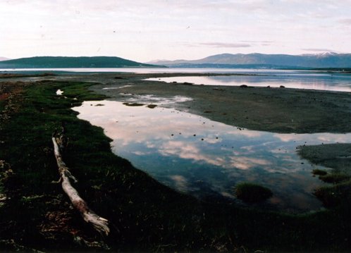 håkøybot naturreservat